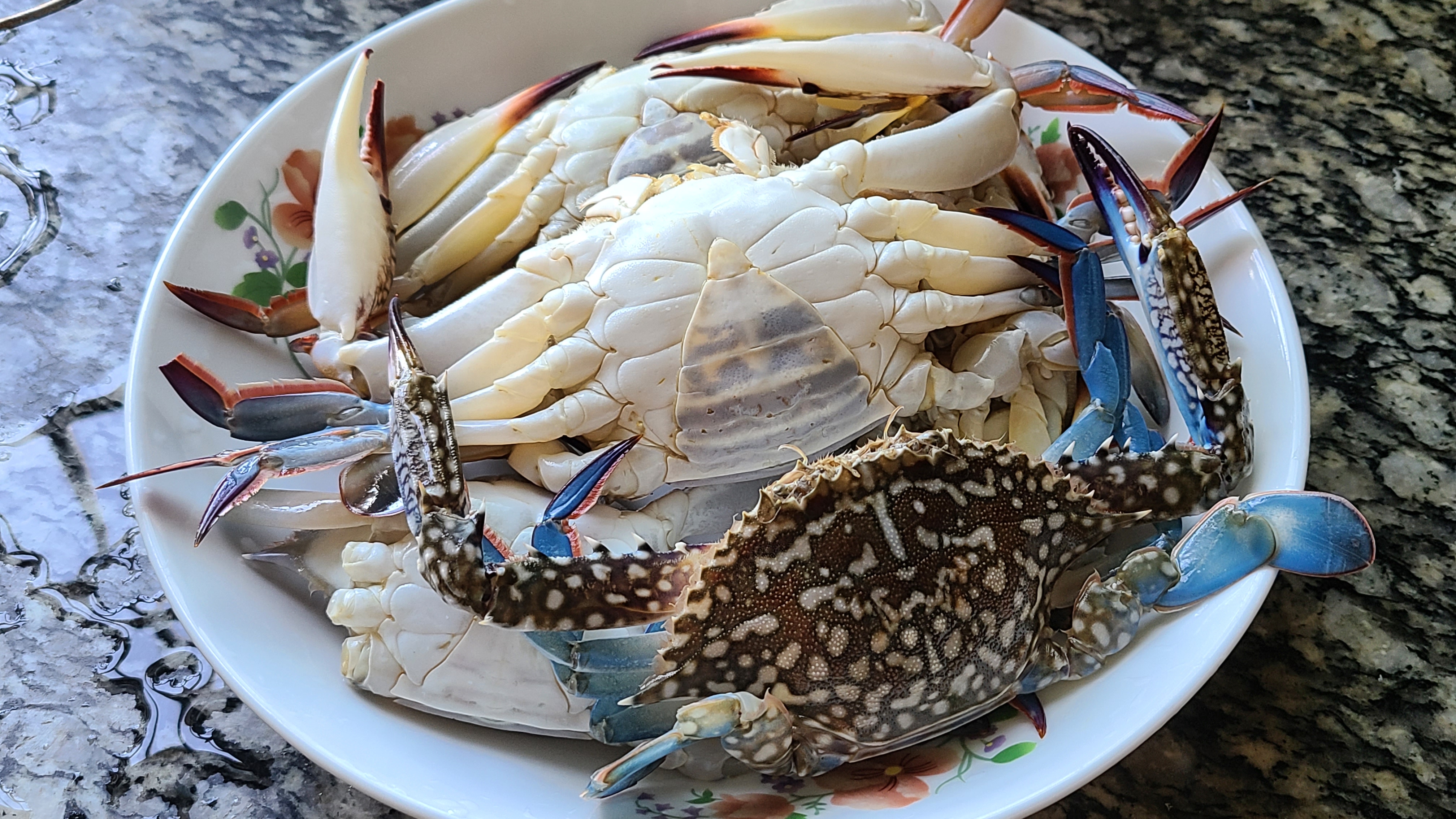 蒜蓉螃蟹的家常做法，很好吃的一道美食，简单美味，想吃就做