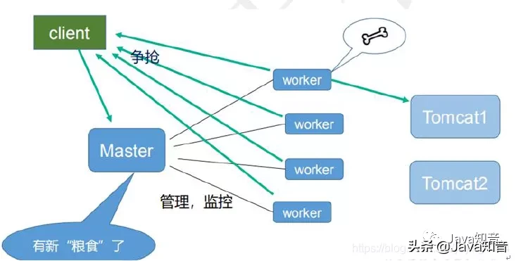 就是要让你搞懂Nginx，这篇就够了