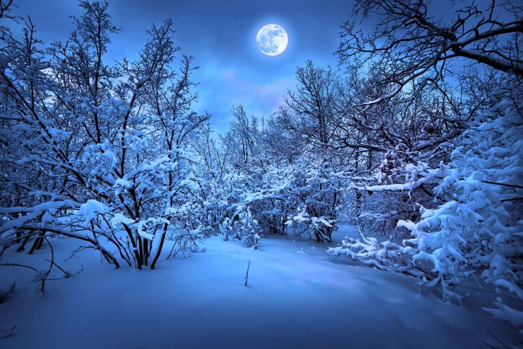 古诗词里的十二月十五，一年中最后的月圆，有雪，有月，有诗意-第4张图片-诗句网