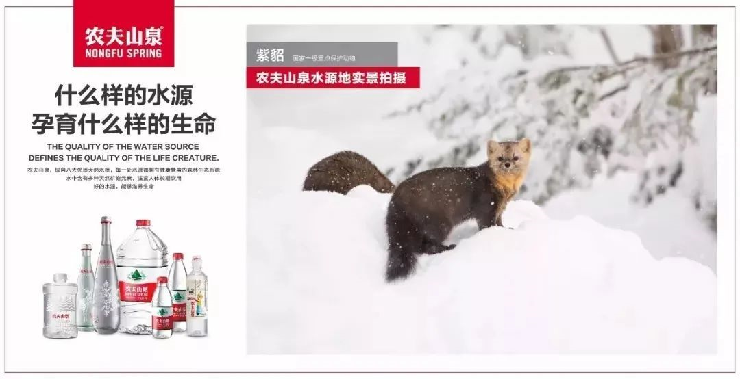 大自然的“印钞机”：农夫山泉1年利润50亿，全靠卖瓶子？