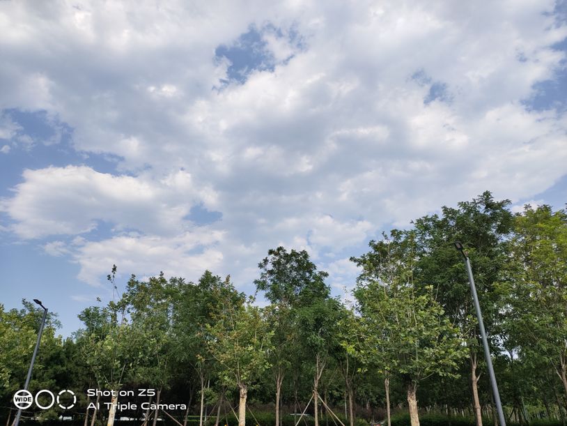 vivo Z5評(píng)測(cè)：全面升級(jí)之作，主宰年輕市場(chǎng)