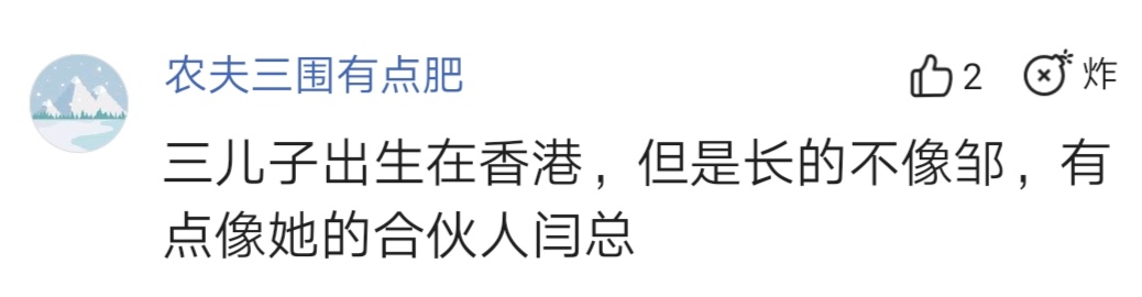 邹市明三儿子出生地曝光？网友：出生在香港，长得像合伙人