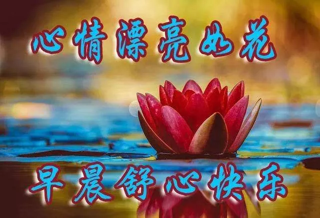 尘世间,有个能懂你的人,是多么重要,大家早晨好