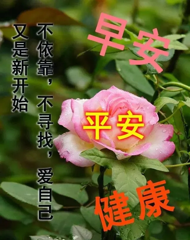 早上好祝福语优美句子图片 唯美早上好动态表情包图片