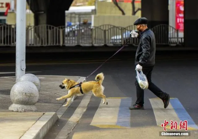 五月起，这些新规开始施行