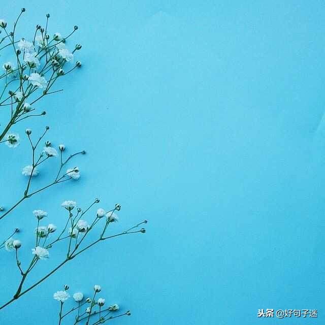 最好最简短的唯美句子 励志的句子致自己简短图片