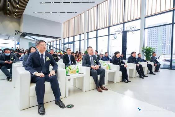 大河报汽车网