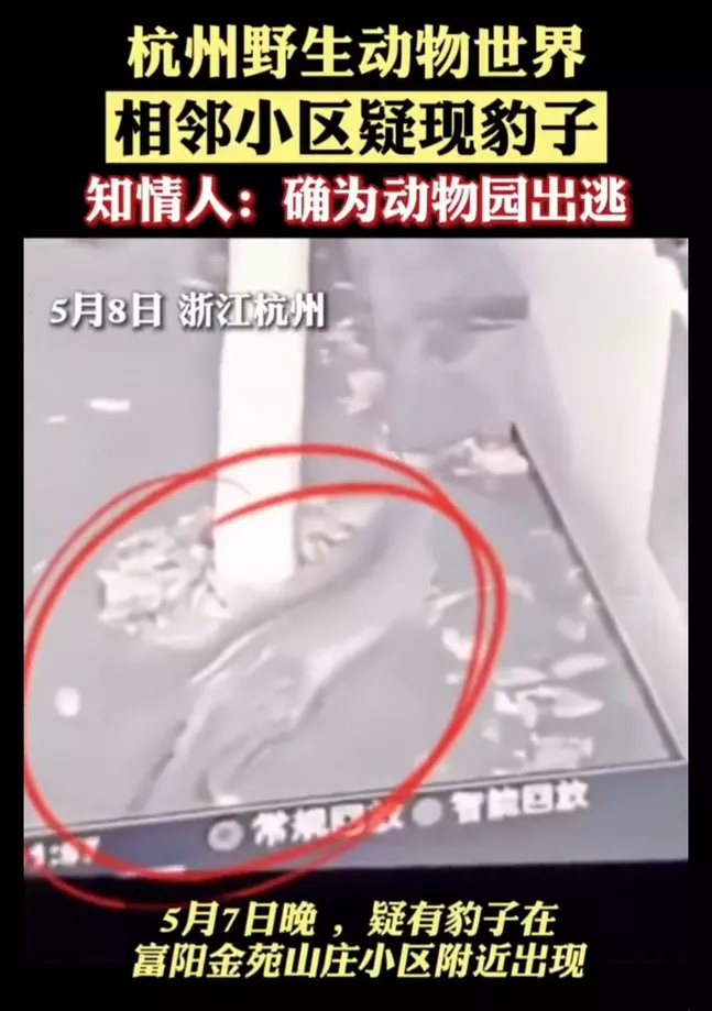 杭州“瞒豹”事件,愣把所有人当傻子