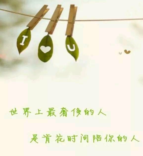 心里委屈说不出的句子 所有的心酸委屈自己扛的句子图片