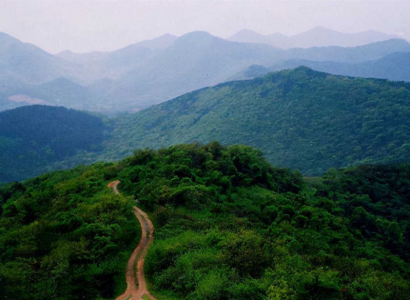 限墅令加码，上车别墅时代的最后机会