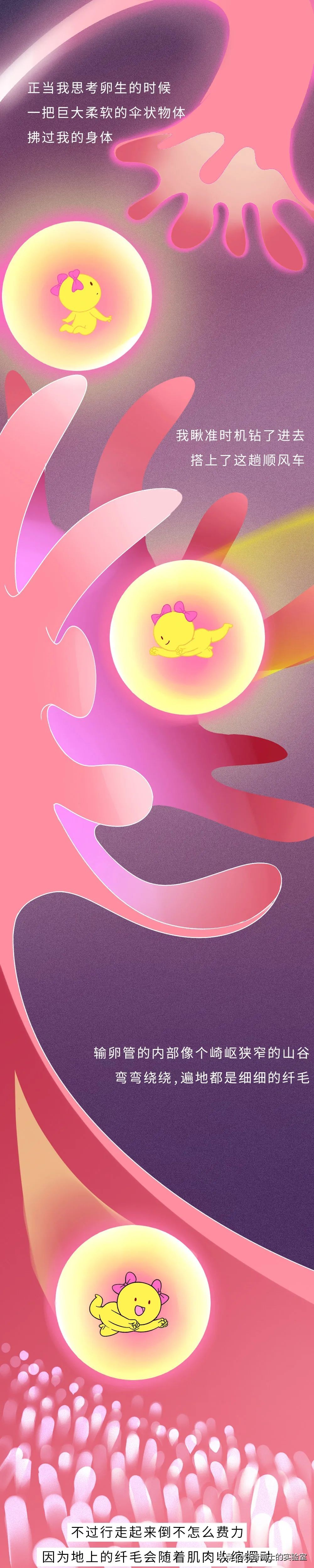你對女生的卵子根本一無所知