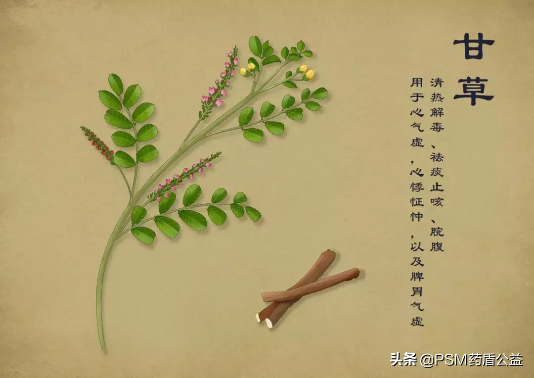 春暖花开，送上手绘中草药图谱~