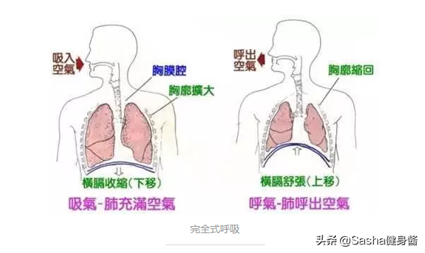 呼吸能瘦还能调节情绪 神奇吐纳瑜伽 调节好呼吸后练习更高效 运动养生 健康 武博网