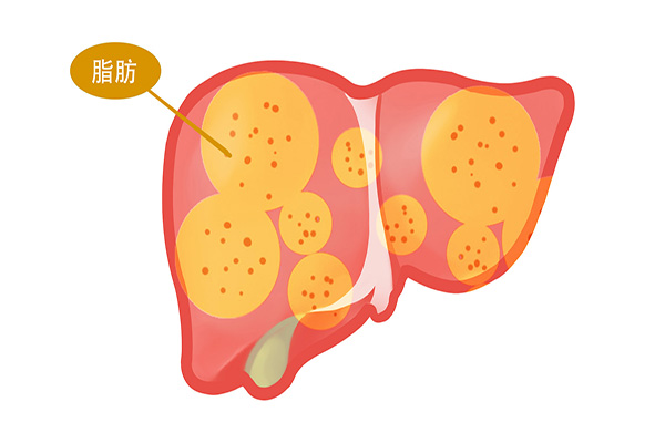 晚餐与寿命挂钩？什么样的晚餐，有利于长寿？你的晚餐合格吗？