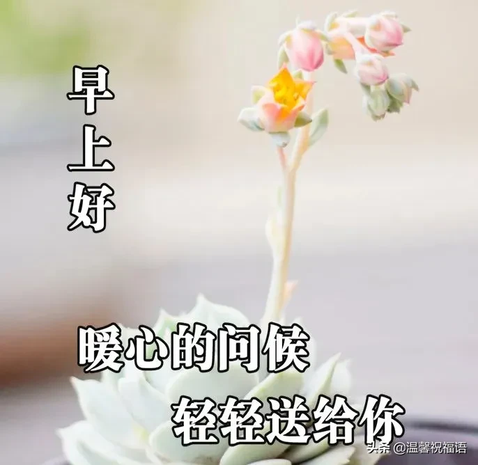 早安2021最新图片发朋友圈 全新版早上好漂亮表情祝福图片图片