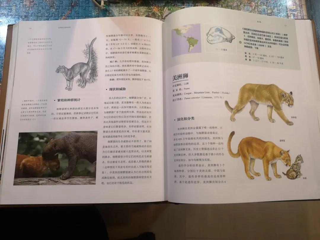Angela的旅行书单1 | 旅行和阅读，必须有一个在路上