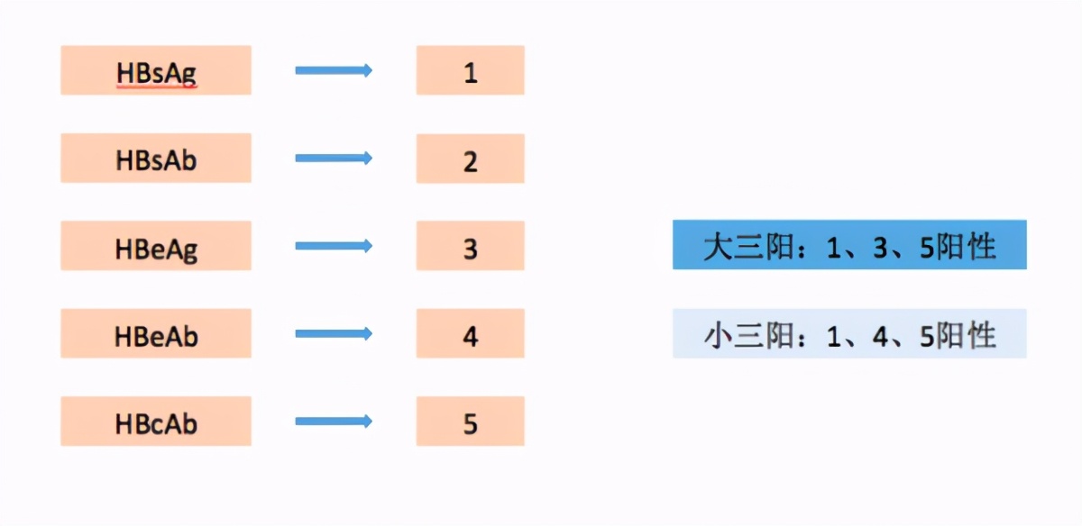 小三阳只要DNA阳性，就要抗病毒？乙肝患者，请收下这封科普信