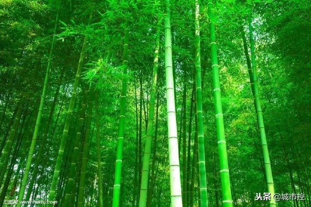 江苏省13个最值得去的小众旅行目的地，美到窒息，你去过几个？