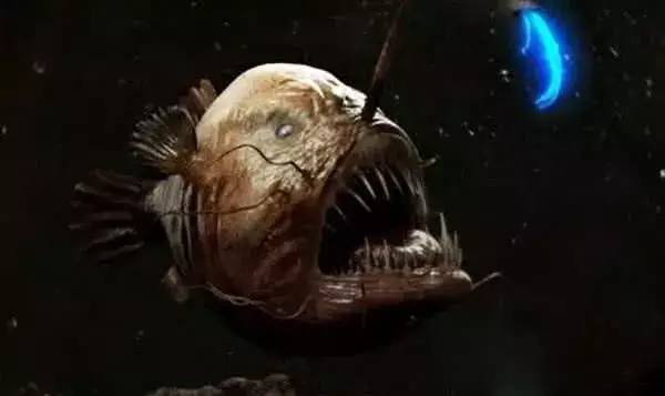 大海到底多深？说出来你都不一定会相信？海底