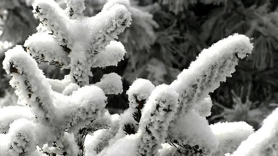 炎炎夏日，送你一组冰雪图片降降温