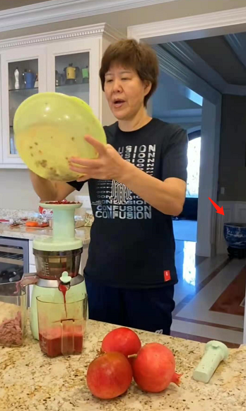 郎平三百平豪宅曝光，中西结合好奢华，屋外被草坪环绕有专属菜园