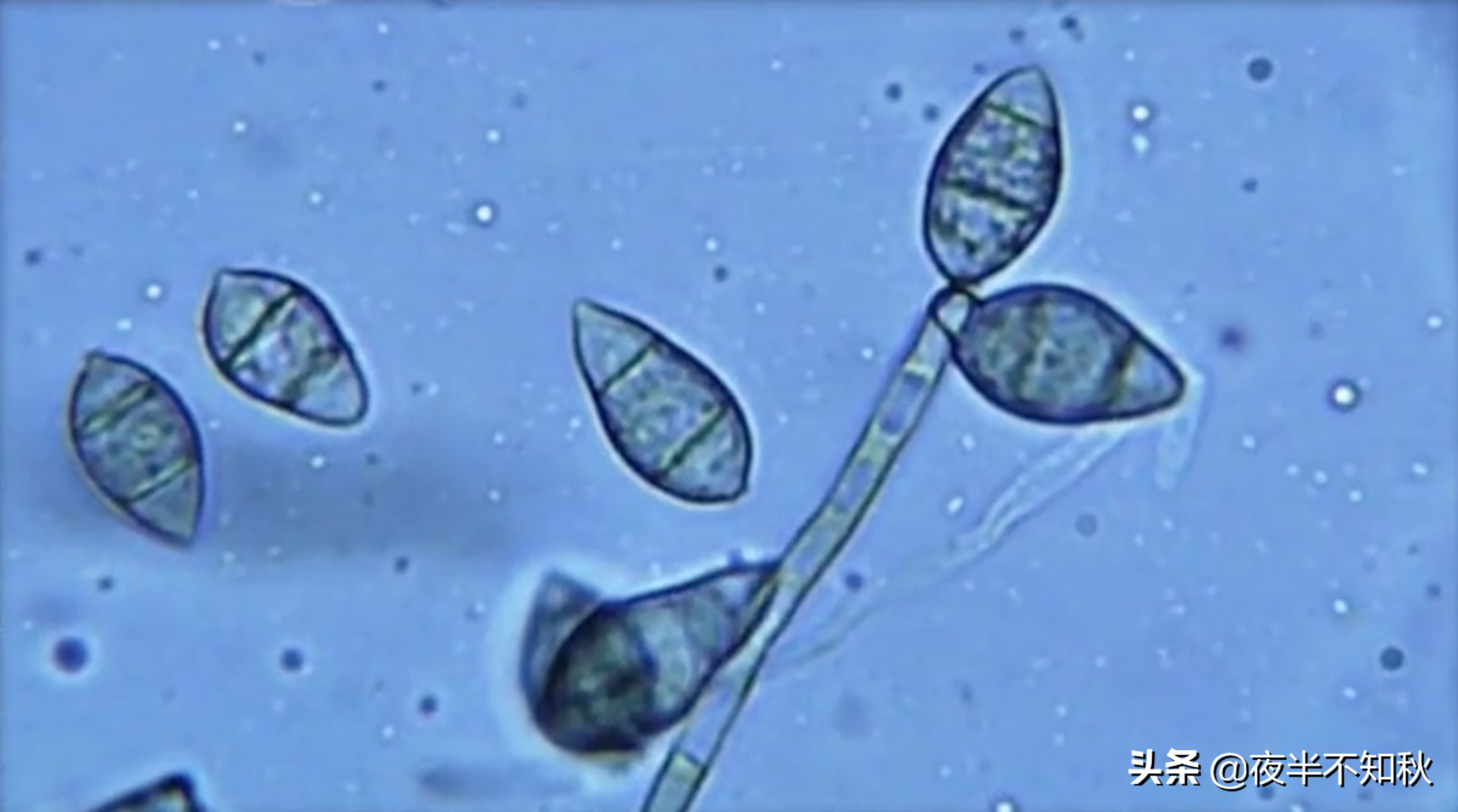 疯狂的科学家！差点毁灭人类的10个科学实验！看