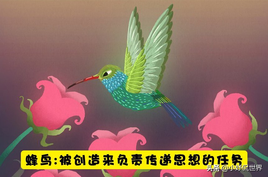 美国文化中，关于动物的6个有趣的传说-第1张图片-大千世界