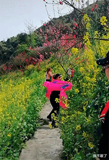 “后山的竹子结果了，能吃吗？”哈哈哈你去问