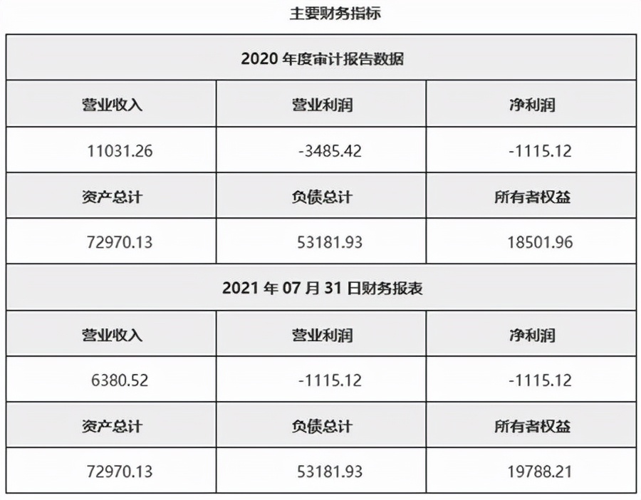 医药制造｜吉林医药制造公司12%股权转让11BJ047-0912