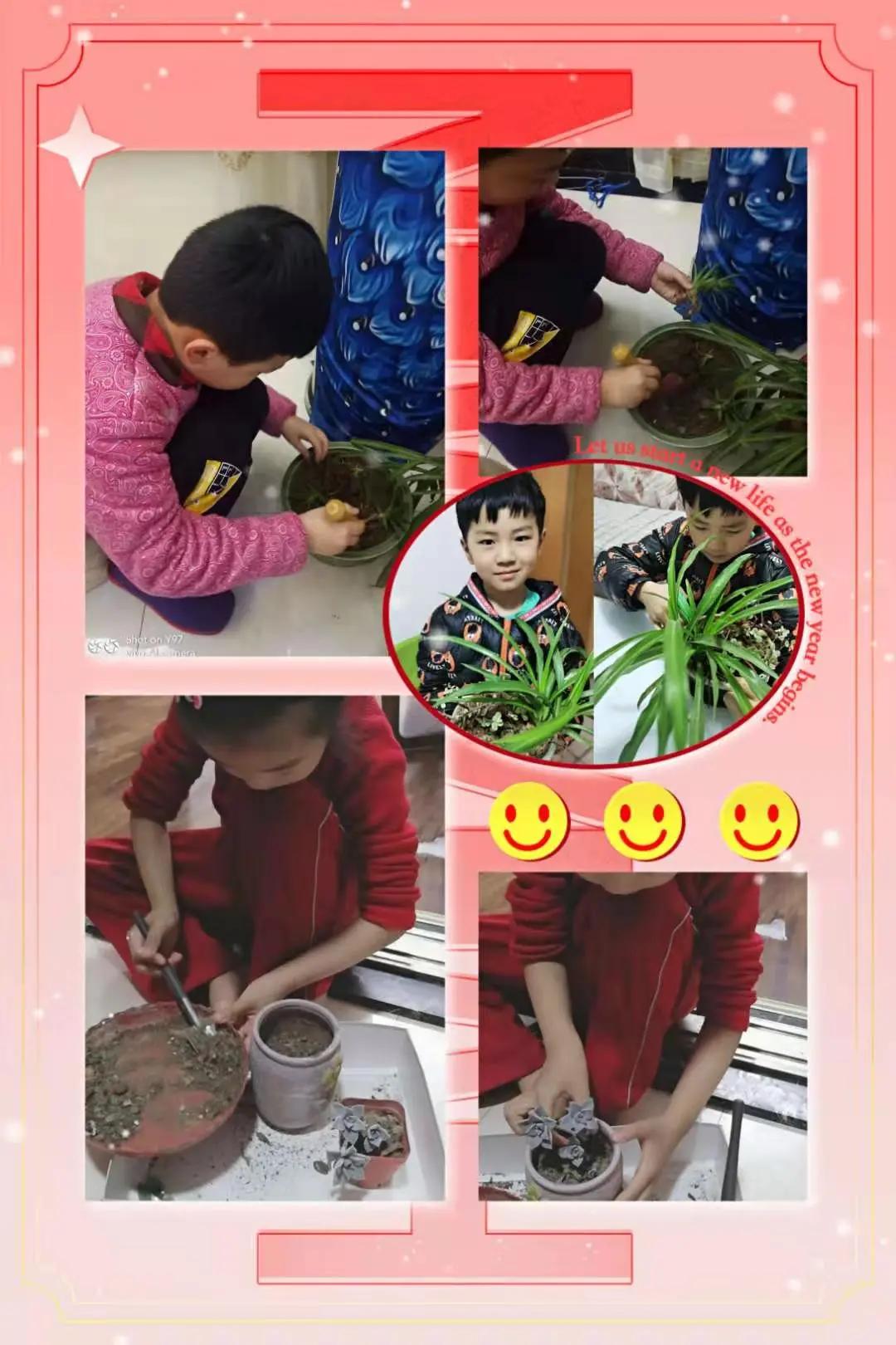 ��֮��.ֲ�̻���--�����еھ�Сѧֲ���ڻ��Ӱ