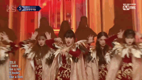 Green you 2 " Lion " borrowed? Arena is duplicate Han Tuange, bring outer net heat to discuss be lost face by ridicule abroad