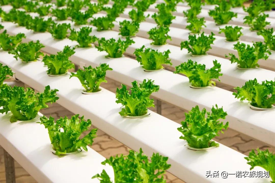 “田园综合体”是乡村振兴的战略支点，农业农村部这样答复