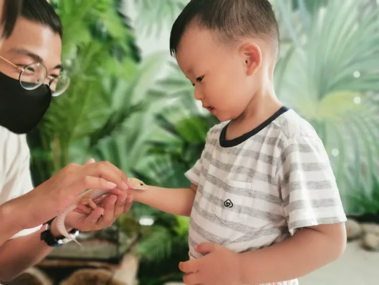 深圳又一遛娃胜地，城市中的自然成长乐园，野趣精致的户外营地