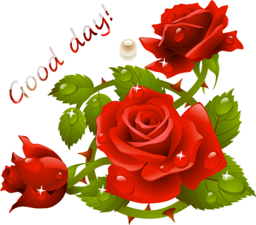 动态|情人节动态表情微信图片大全合集 情人节快乐动图送给大家