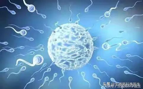 男性不孕不育的原因（哪些精子质量异常病症可以引起男性不育）
