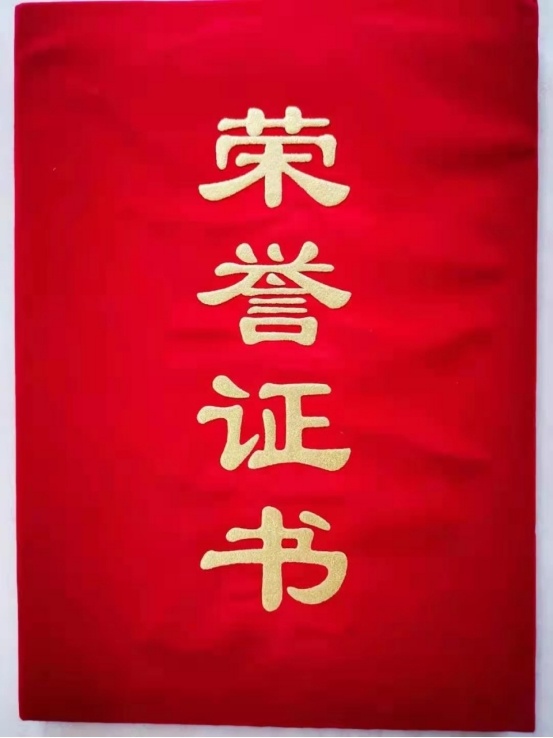 宜宾交警荣获全国科普微视频奖