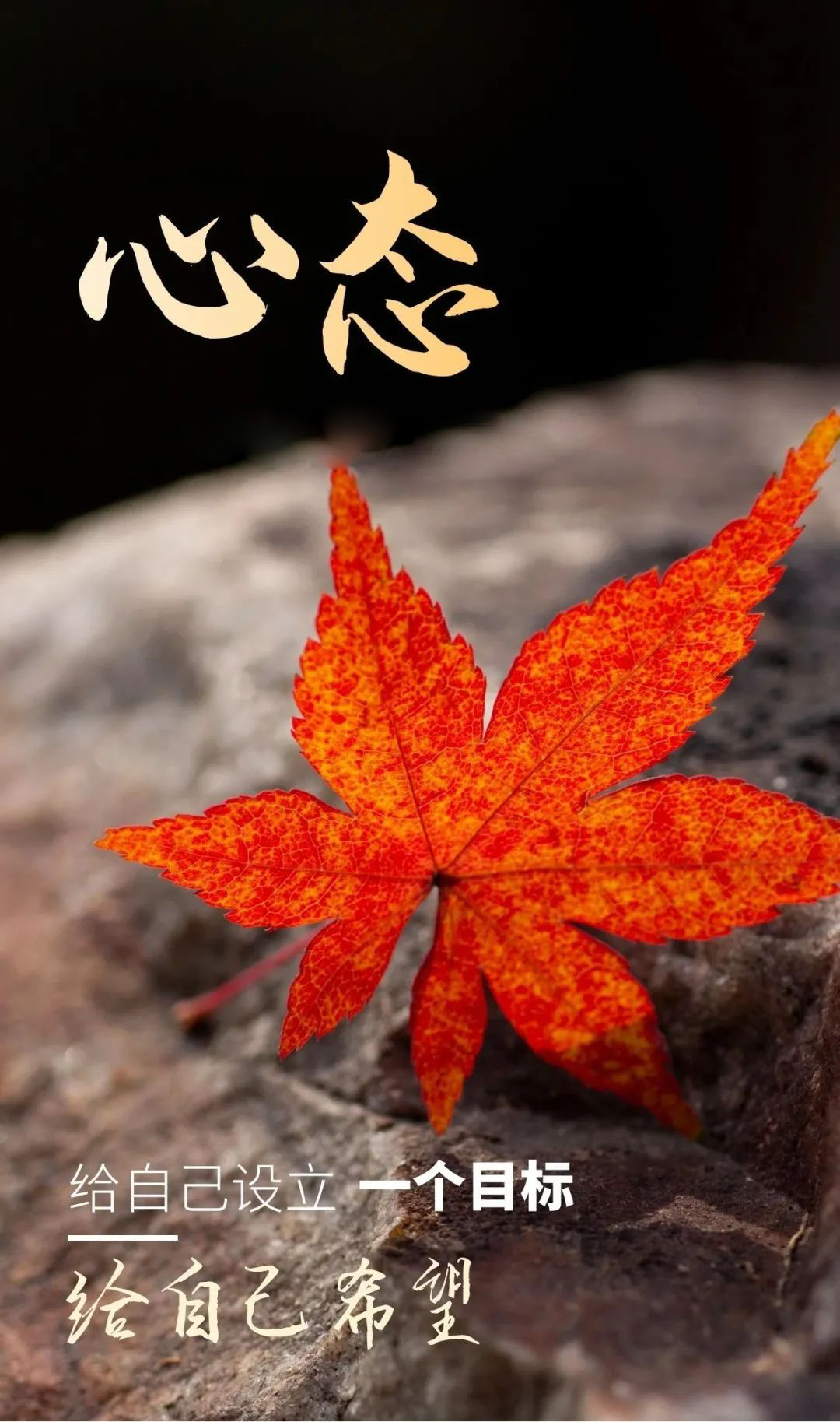 正能量早上好说说图片，励志早安日签带字图片