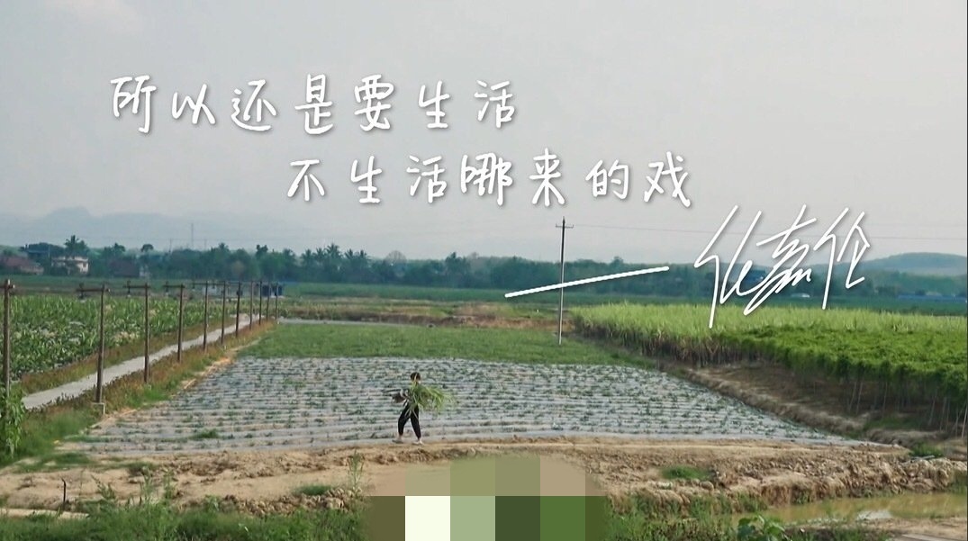 任嘉伦作客《向往的生活》，衣着朴素化身农夫