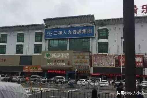 老板说你们再不努力工作，就让你们去深圳做三和大神了