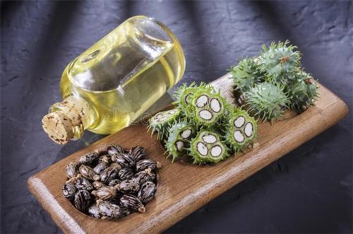 暗藏劇毒卻被廣泛種植，多國列為戰略物資，蓖麻究竟有何用途？