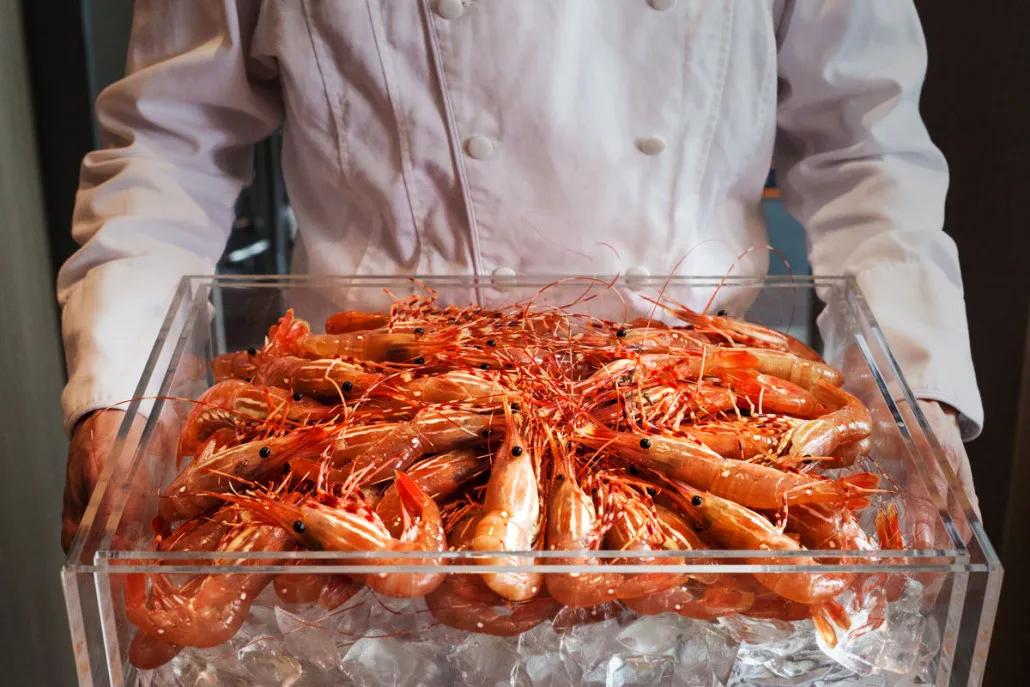 盘点！世界中小型主流虾类大合集，你爱吃的是哪一类？