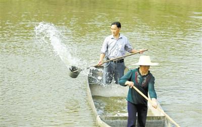 淺析魚病防治的合理用藥：