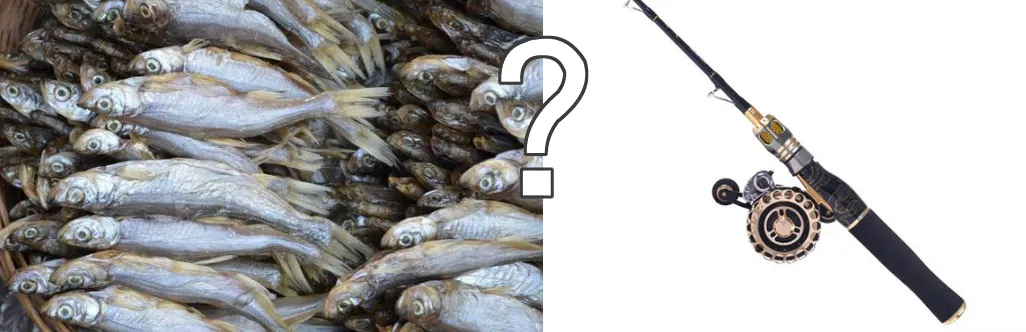 零基础如何制作作品集？