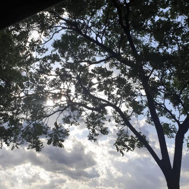 49岁李英爱带孩子玩，9岁龙凤胎身高到妈妈肩膀，女儿可爱漂亮