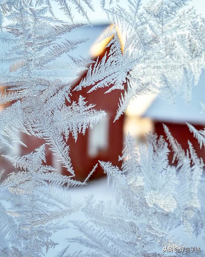 抖音下雪超级火的句子 雪景发朋友圈配一句话图片