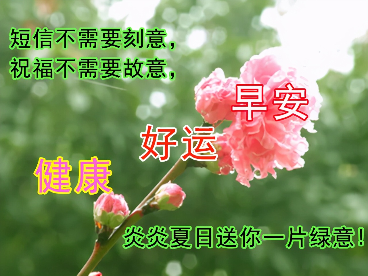好看的早上好的祝福语图片大全，唯美早上好动态表情包图片