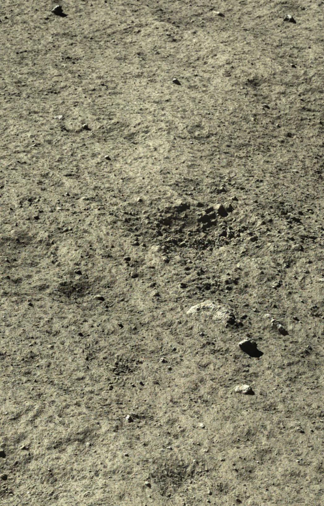 �϶����ȫ������µ�������档���嵽����һ���³���