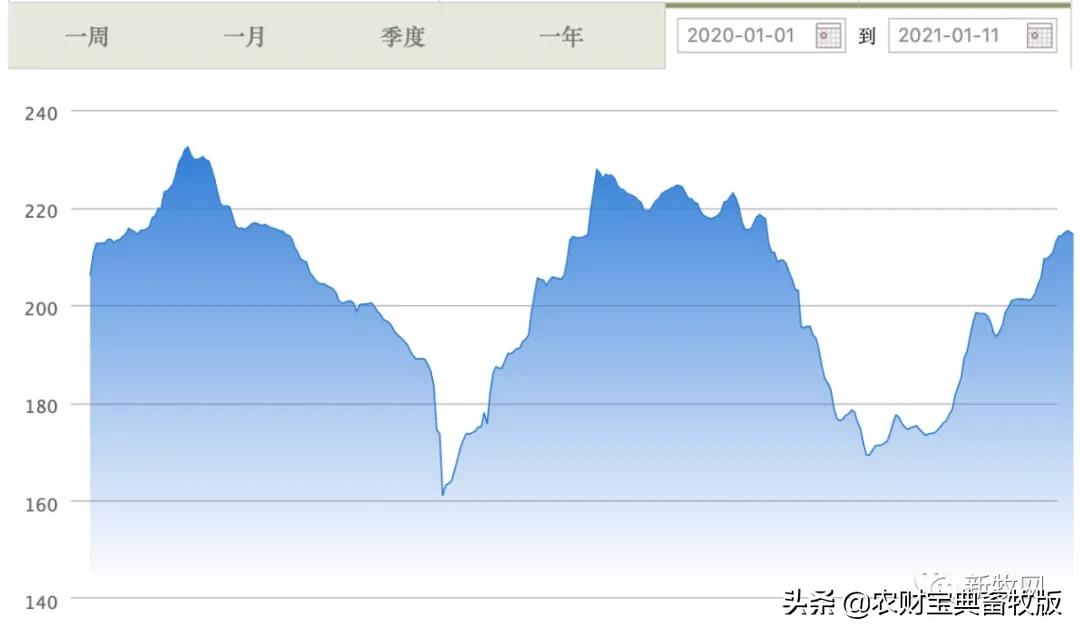 Raised pig employment 2021 8 guess greatly: Who will become the first to give column look forward to of pig of head of 3 ten million? 00 hind grow on the spot, green storm came...