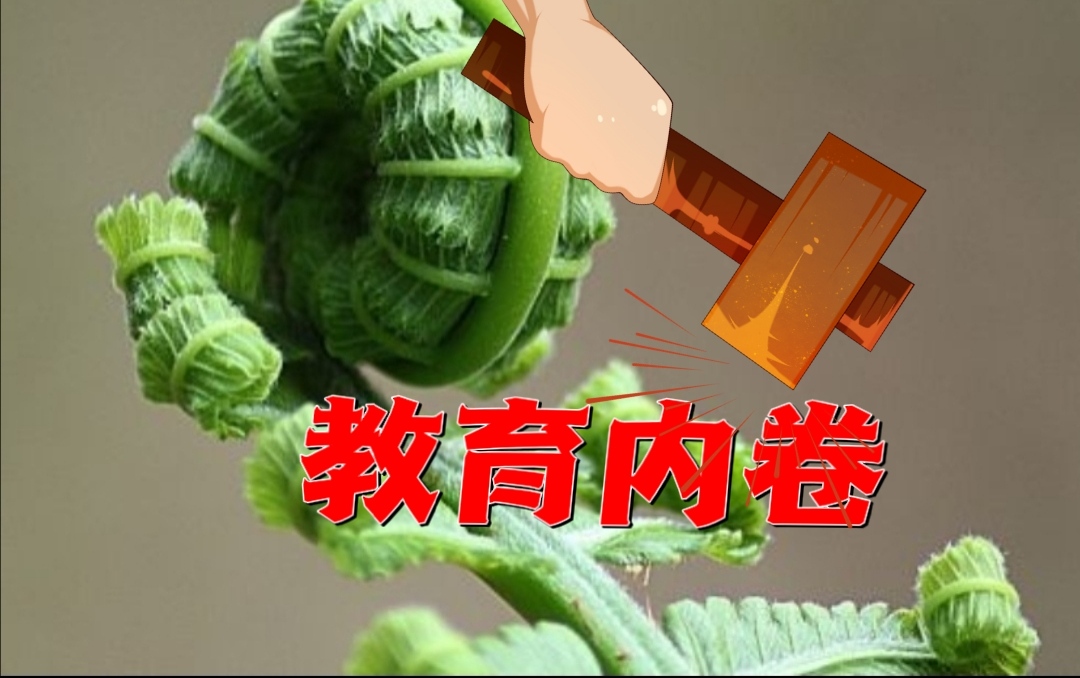教培市场萎缩，不补课我们一样过好这个暑假