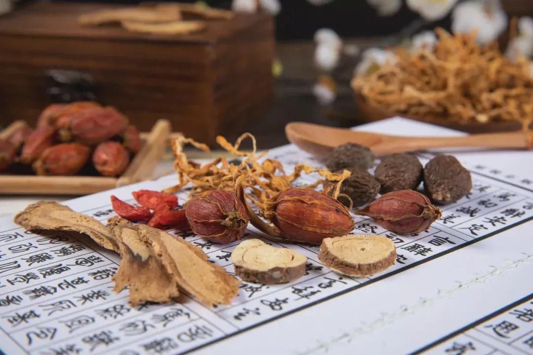 厉害了！斑马鱼为中医药功效提供有效实验数据